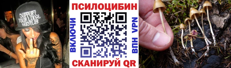 Галлюциногенные грибы мухоморы  дарнет шоп  Белебей 